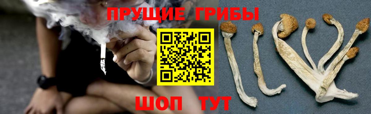 Галлюциногенные грибы Cubensis  Псилоцибиновые грибы мицелий  купить наркотики цена  Вход с VPN  Ханты-Мансийск 